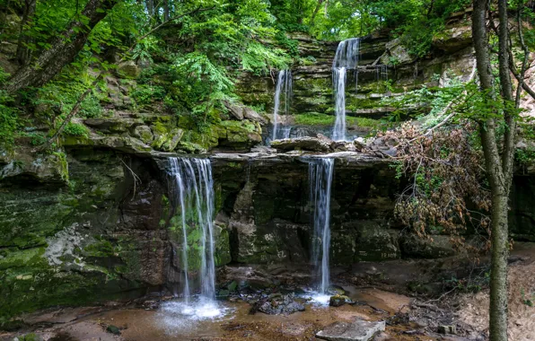 Picture greens, forest, trees, stones, rocks, waterfall, moss, USA