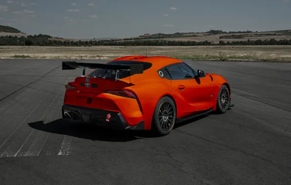 Toyota, sports car, 2023, Toyota GR Supra GT4