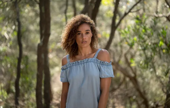 Forest, look, girl, Park, dark