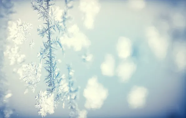 Picture cold, winter, background, pattern, texture