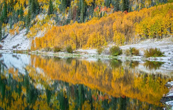 Picture autumn, trees, lake, reflection, Colorado, USA, Crystal Lake