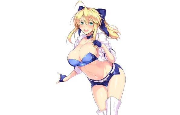 Picture girl, the saber, Fate / Grand Order, The destiny of a great campaign