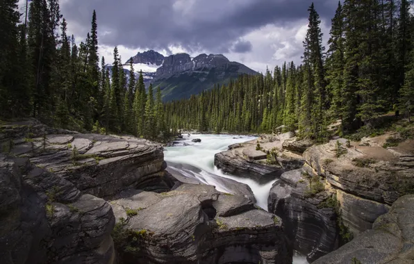 Forest, mountains, river, stones, waterfall, Mistaya Canyon