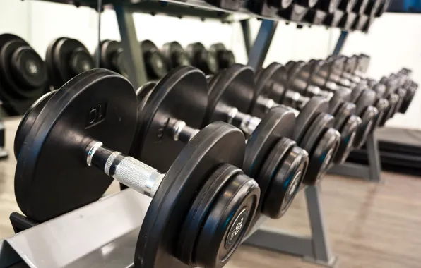 Fitness, Gym, Dumbells