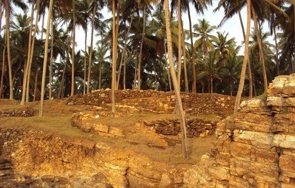 Picture beach, India, The Indian ocean, Molur, Kavalam