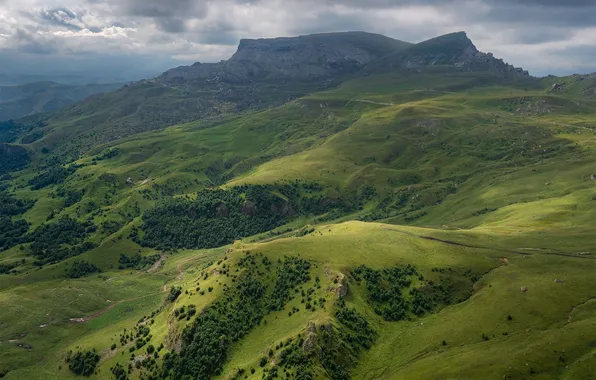 Forest, grass, mountains, nature, rocks, The Caucasus, Sergey Serushkin