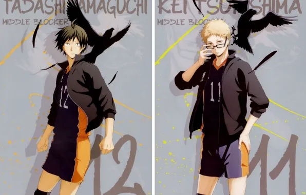 Feathers, glasses, crows, guys, sports uniforms, Haikyuu!!, Volleyball!, Kei Tsukishima