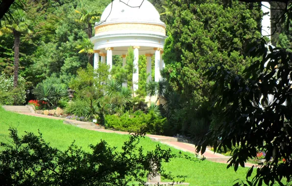 Summer, nature, Park, Trees, Sochi