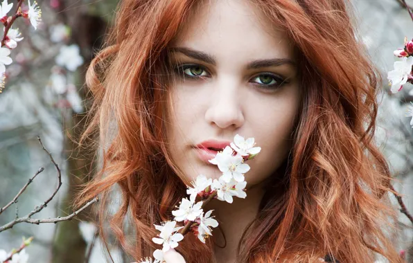 Picture look, girl, hair, spring, green eyes, twigs