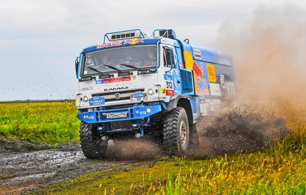 Grass, Sport, Speed, Truck, Race, Master, Dirt, Squirt