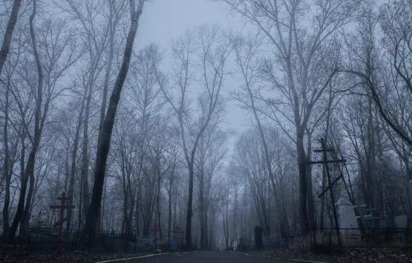 Sadness, fog, cemetery, horror, depression, mystery, longing, fog