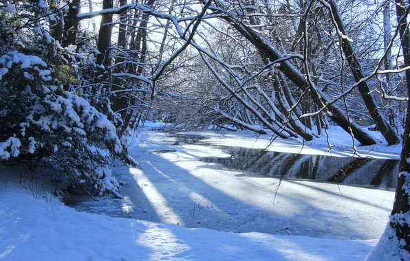 Ice, park, winter, lake, snow, sun, pond