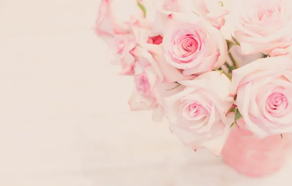 Picture background, tenderness, roses, buds