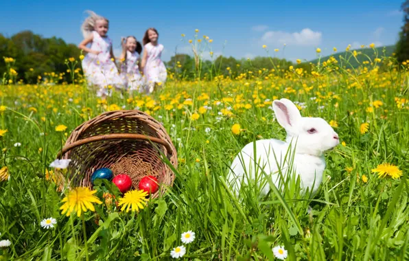 Greens, white, the sky, grass, joy, flowers, children, childhood