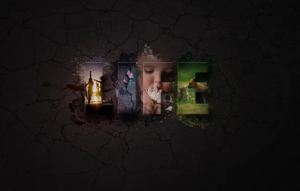 The inscription, words, life