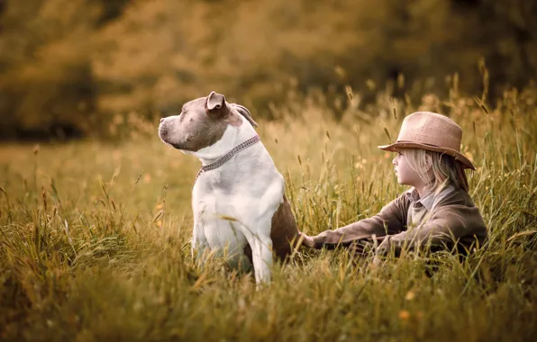 Field, summer, nature, childhood, mood, dog, hat, boy