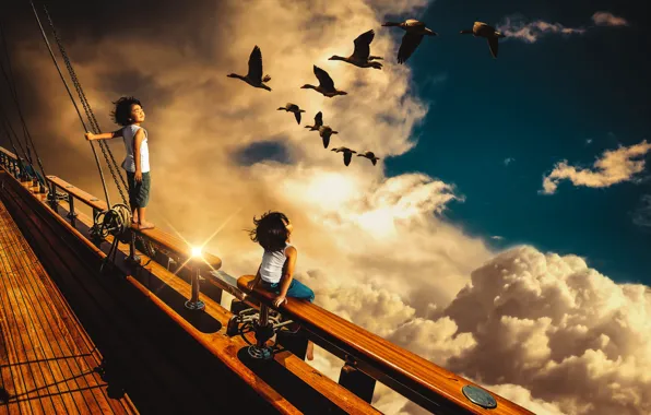 The sky, dream, the sun, clouds, light, flight, sunset, birds