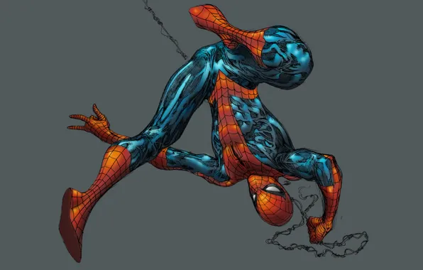 Picture grey background, Marvel Comics, Spider-Man, Spider-Man