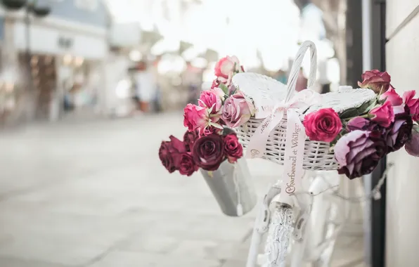 Bike, street, roses