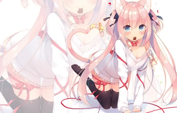 Picture anime, girl, kitty