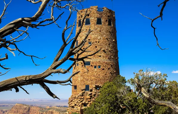 Trees, tower, masonry, dry, curves