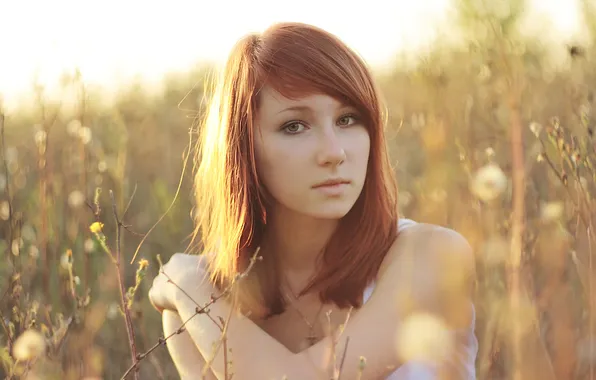 Picture grass, look, girl, morning, brown hair, chain