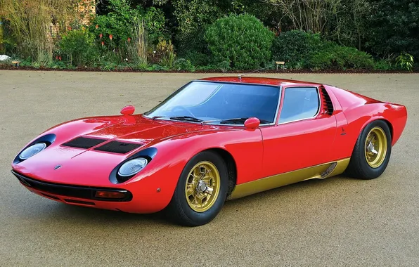 Picture red, reflection, red, lamborghini, front view, Lamborghini, 1972, miura sv