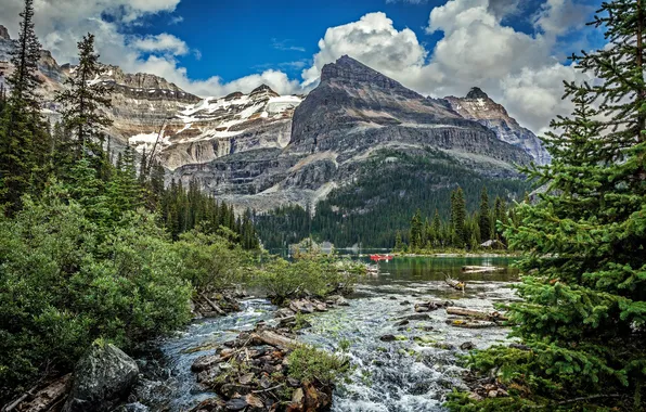 Forest, trees, mountains, river, stones, rocks, shore, boat