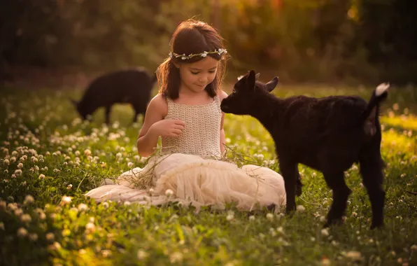 Summer, light, flowers, childhood, pose, smile, glade, spring