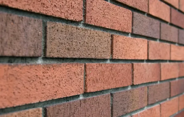 Picture wall, brick, masonry, seam