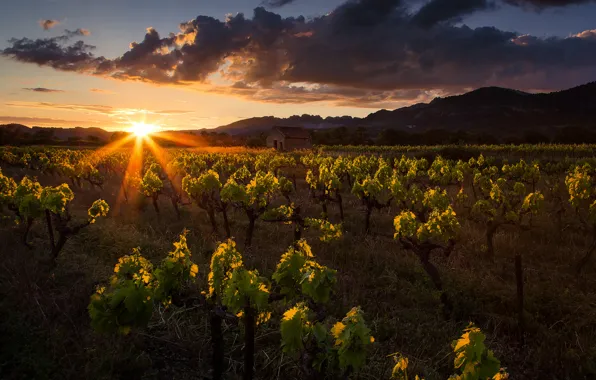 Clouds, sunset, mountains, house, vineyard