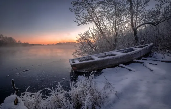 Picture winter, frost, grass, snow, trees, landscape, nature, lake