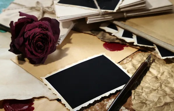 Flowers, coffee, roses, Cup