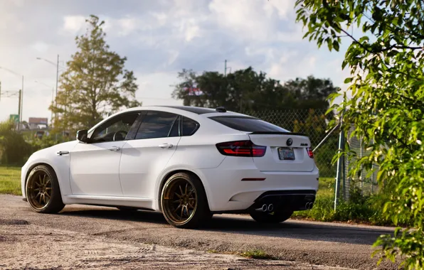 Picture road, white, bmw, BMW, the fence, white, rear view, x6m