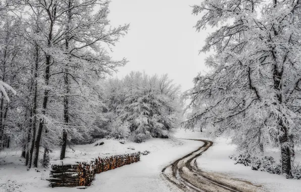 Picture winter, road, snow