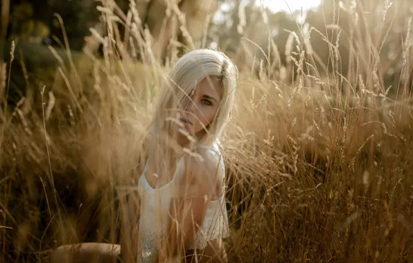 Picture grass, look, the sun, pose, model, portrait, makeup, hairstyle