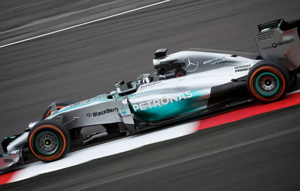 Race, Formula 1, Mercedes AMG, Nico Rosberg
