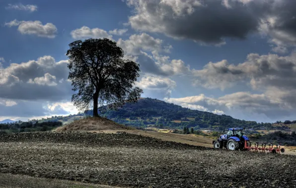 Field, tree, tractor