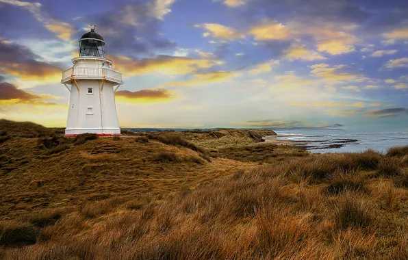 Sea, grass, shore, lighthouse, the evening