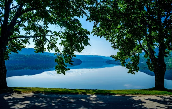 Road, trees, lake, Norway, Norway, Heddalsvatnet Lake, Telemark, Telemark