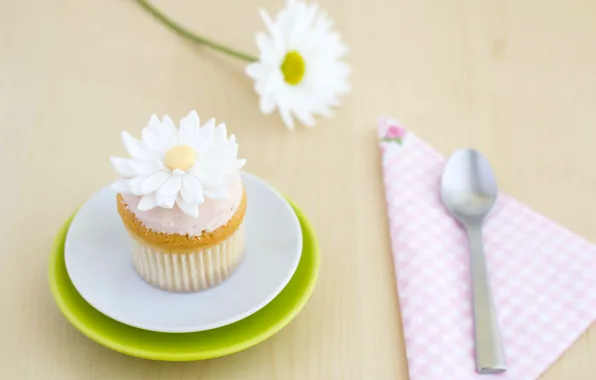 Flower, Daisy, spoon, decoration, cream, dessert, cakes, sweet