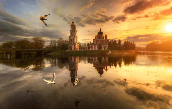 The sky, the sun, clouds, light, flight, sunset, birds, old