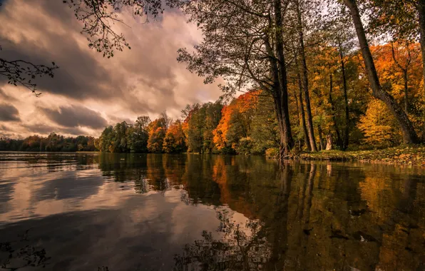 Autumn, lake, Poland, Lake Hancza