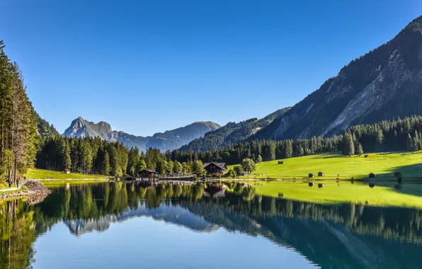 Download wallpaper forest, mountains, lake, reflection, Austria