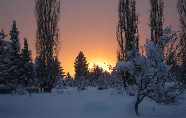 Picture Winter, Frost, Sunset, Snow