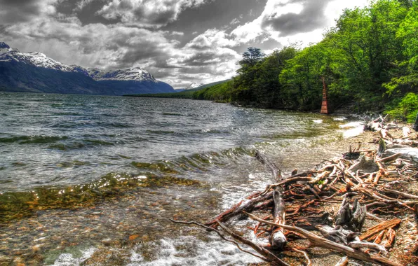 Sea, clouds, trees, mountains, coast, hdr, Argentina, driftwood