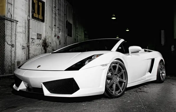 Picture white, Lamborghini, white, Roadster, Gallardo, Lamborghini, galardo