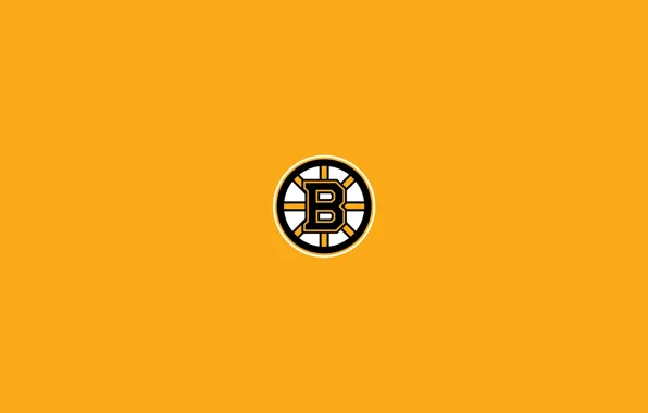 Picture team, emblem, Boston, Boston, NHL, nhl, Boston Bruins, The Boston Bruins