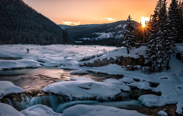 Winter, forest, the sun, rays, snow, trees, landscape, sunset