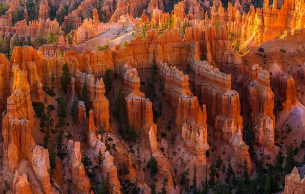 Picture rocks, valley, canyon, USA